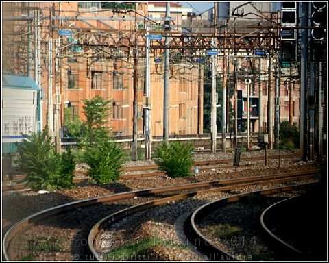 Geometrie urbane
